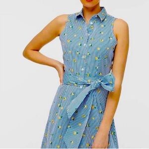 Jcrew factory lemon print dress size 8